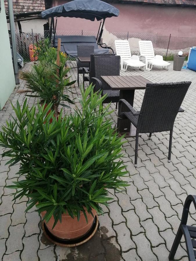 Hotel Attila Vendeghaz Tapioszentmarton Exteriér fotografie
